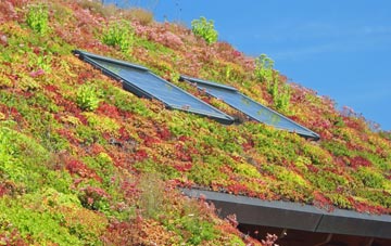 Dove Point living roof systems