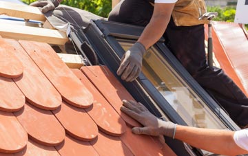 replacement Dove Point roof windows