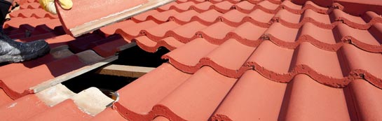 compare Dove Point roof repair quotes