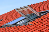 Dove Point roof window