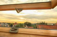 rated Dove Point roof window companies